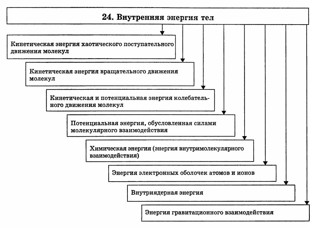 Схема баланса энергии в организме животного